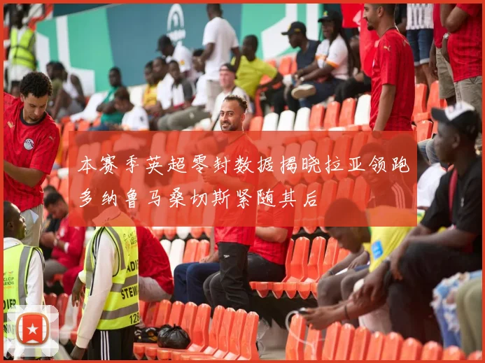 本赛季英超零封数据揭晓拉亚领跑多纳鲁马桑切斯紧随其后