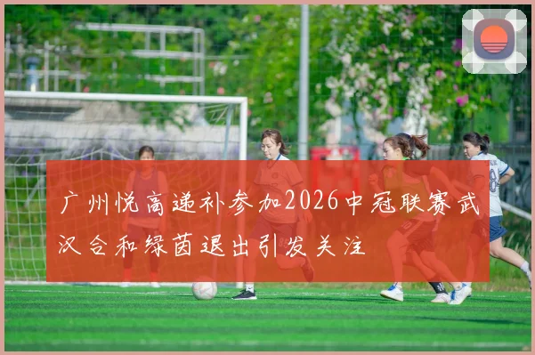 广州悦高递补参加2026中冠联赛武汉合和绿茵退出引发关注
